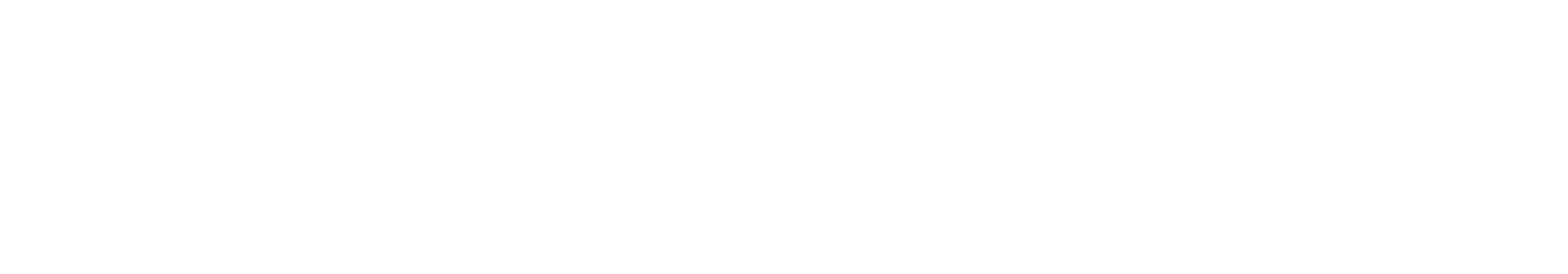 Zealandis Logo